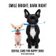 Smile Bright, Bark Right: Dental Care for Happy Dogs