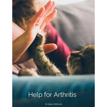 Help for Arthritis