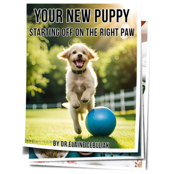 The Pet Health Breakthrough Bundle