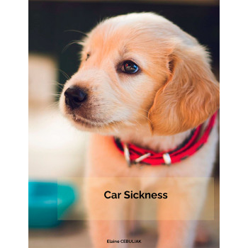 Car Sickness
