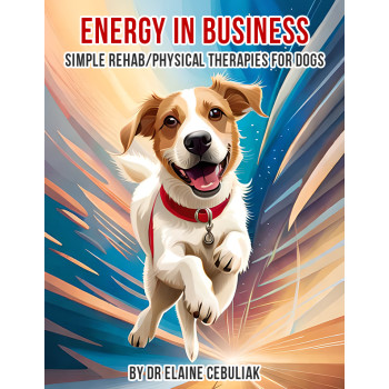 Simple Rehab/Physical Therapies for Dogs